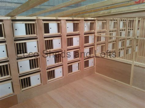 pigeon loft breeding box